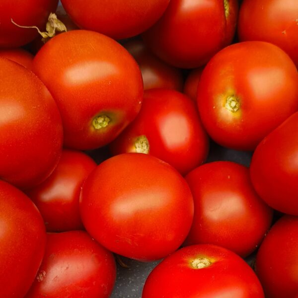Tomaten_02
